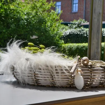 Ferienhaus Olivenoog Wangerooge